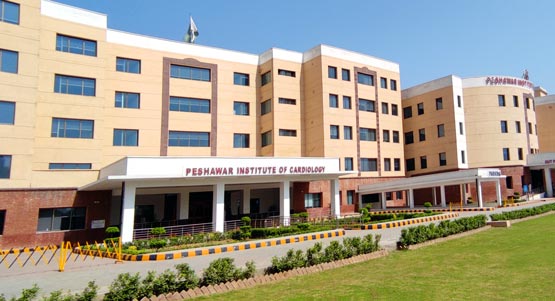 Institute of Cardiology